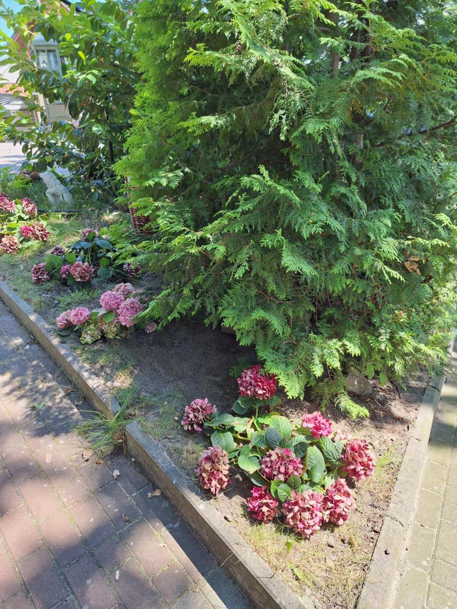 Domek Letniskowy 3 Os Pod Bukiem Miedzyzdroje Exterior photo